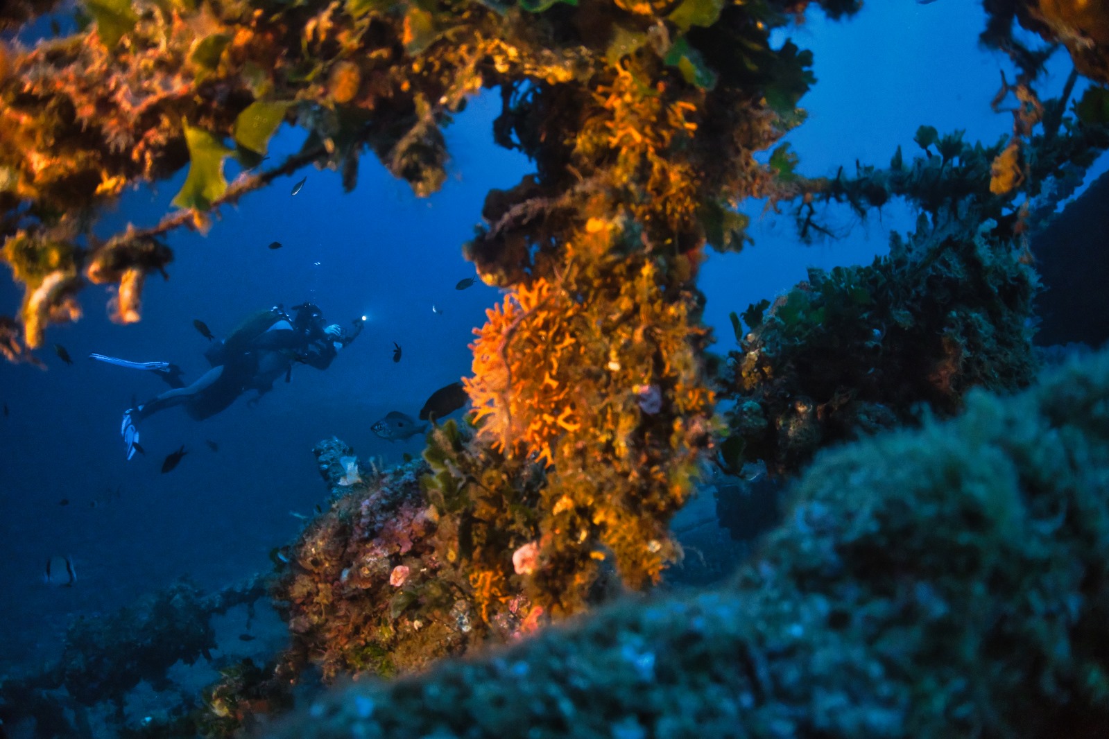 Historia i Plażowanie
